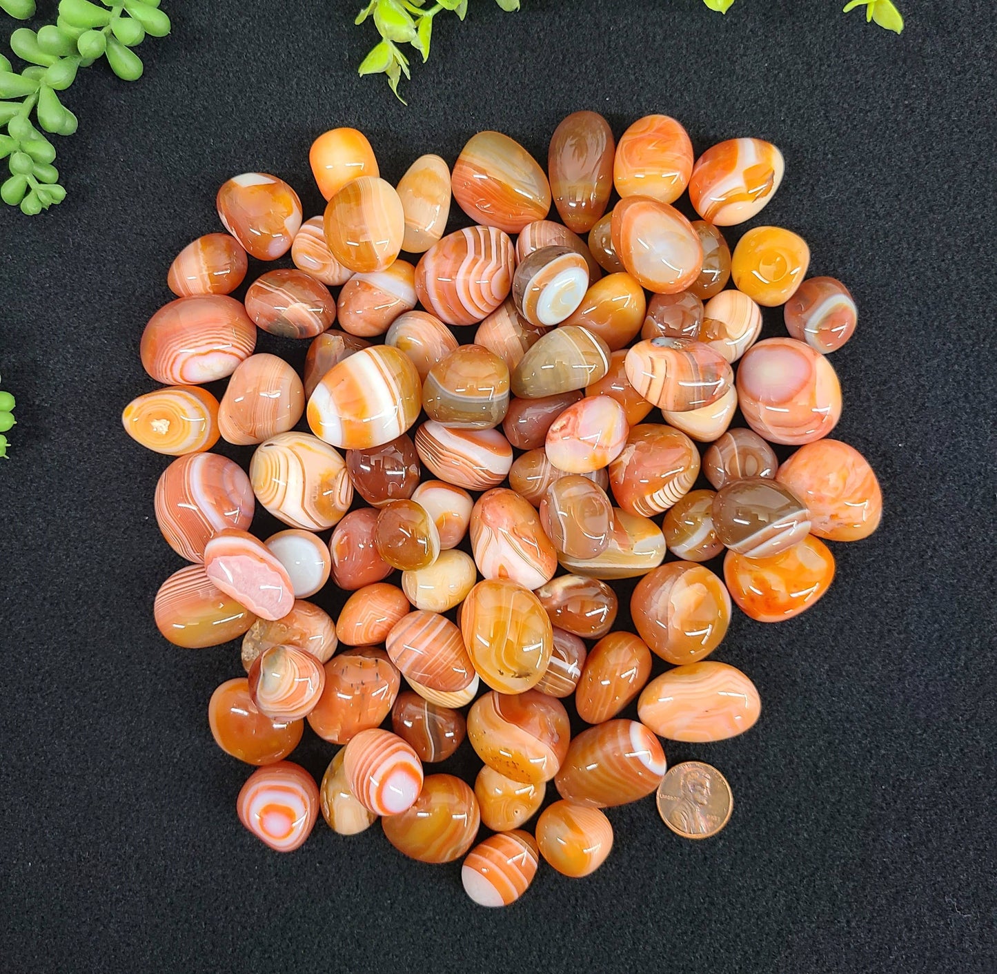 Banded Carnelian (1kg/2.2lbs.) Tumbled Stone 20-25mm