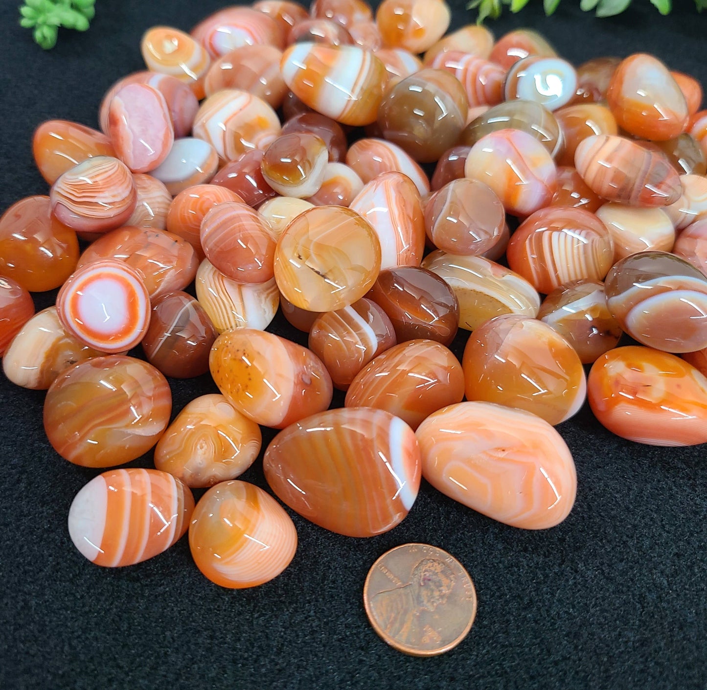 Banded Carnelian (1kg/2.2lbs.) Tumbled Stone 20-25mm